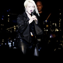 Cyndi Lauper, Vega, 2008