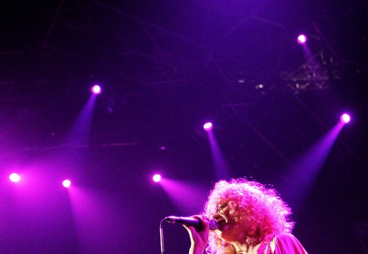 Goldfrapp, Roskilde Festival, 2008