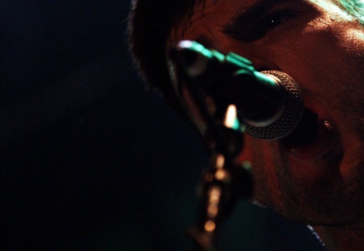 Evergreen Terrace, The Rock, 2011